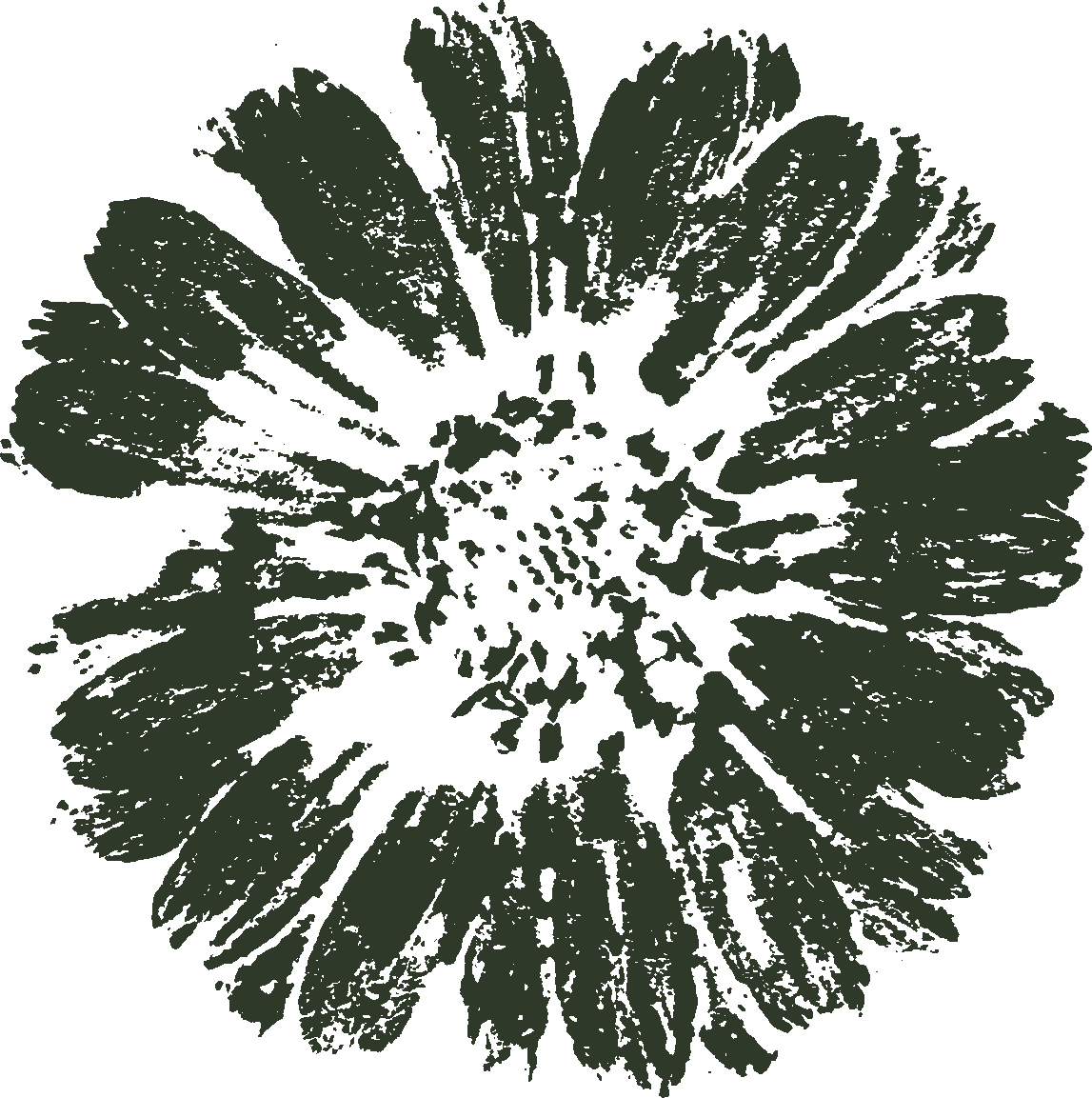Groundwork Gardens logo